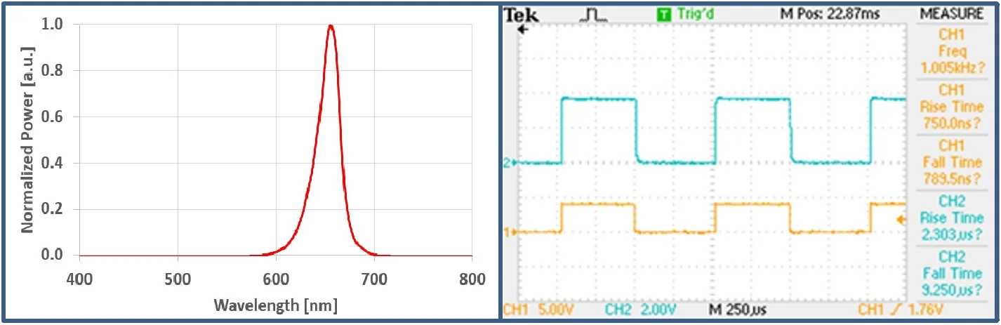 Optogenetics Toolbox for Free Moving Animals