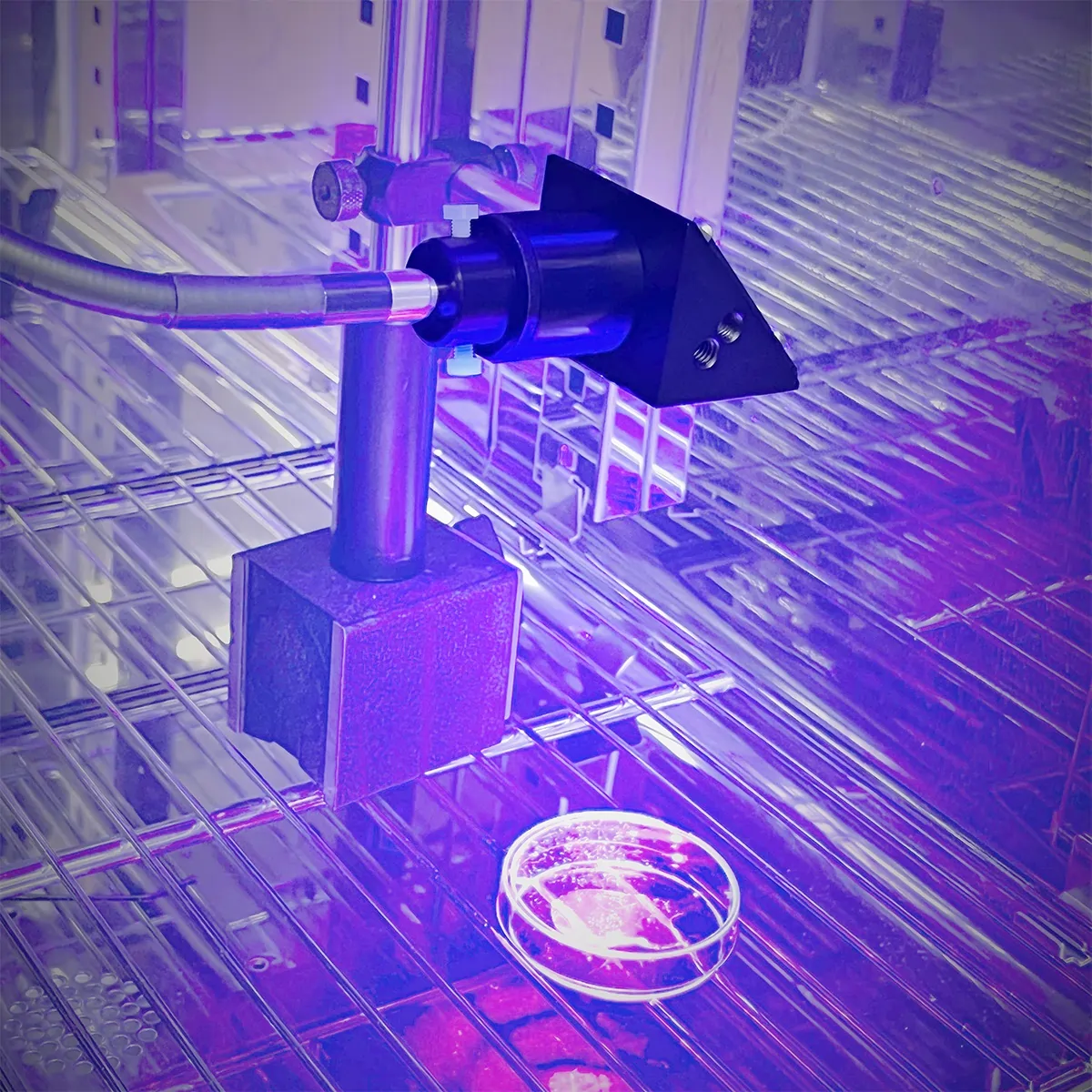 Incubator-Illumination