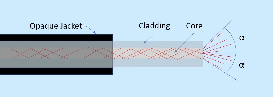 POF-NMR-Fiber-Anatomy